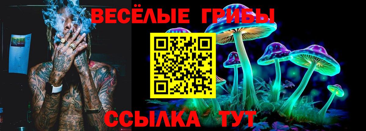Галлюциногенные грибы GOLDEN TEACHER Нижневартовск